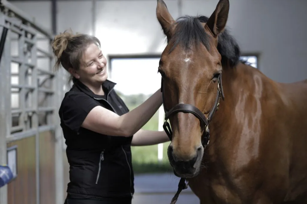 dyreadfærd hestetræning, fysiurgisk hesteterapeut